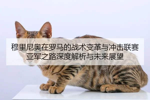 mu-li-ni-ao-zai-luo-ma-de-zhan-shu-bian-ge-yu-chong-ji-lian-sai-ya-jun-zhi-lu-shen-du-jie-xi-yu-wei-lai-zhan-wang-2-470.jpg