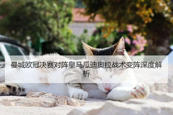 man-cheng-ou-guan-jue-sai-dui-zhen-huang-ma-gua-di-ao-la-zhan-shu-bian-zhen-shen-du-jie-xi-3-136.jpg